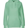 dusty mint