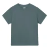 moon grey