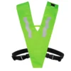 Neon Green