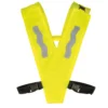 Signal Yellow